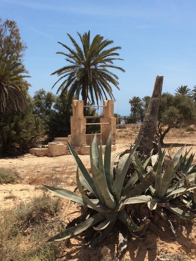 Dar Jasmin Djerba Bed & Breakfast Temlale Exterior photo