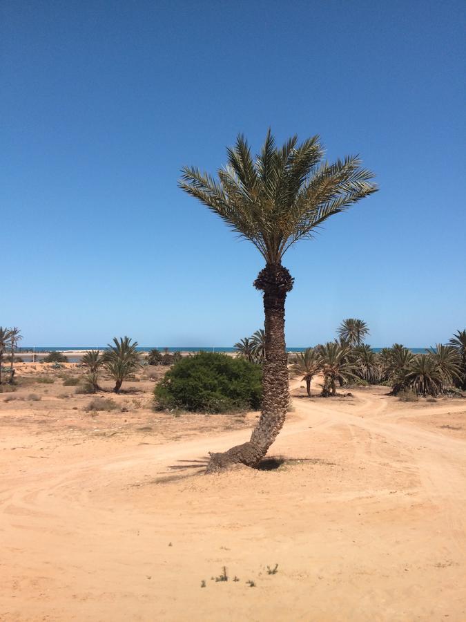 Dar Jasmin Djerba Bed & Breakfast Temlale Exterior photo