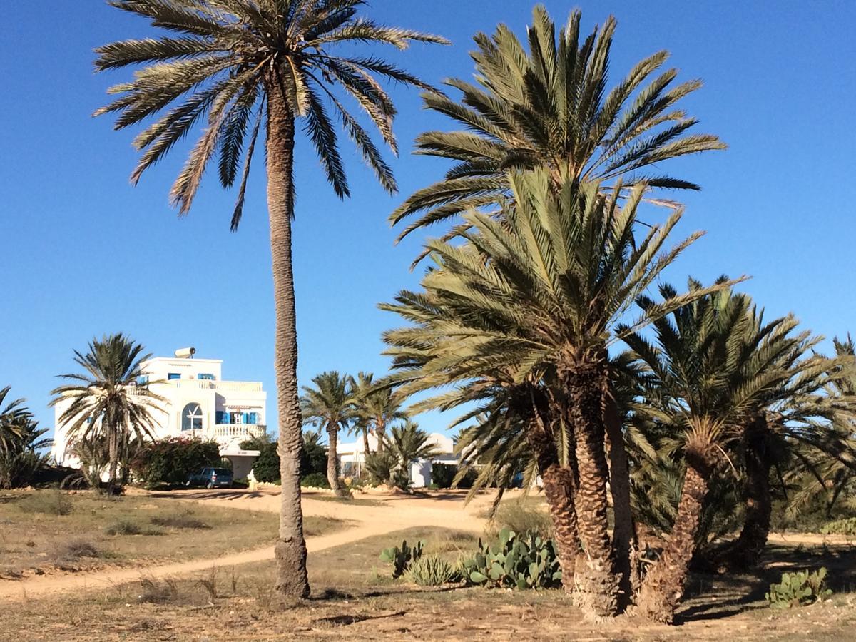Dar Jasmin Djerba Bed & Breakfast Temlale Exterior photo